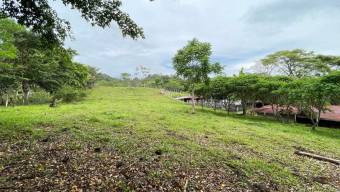 IDEAL PARA PROYECTO TURISTICO LOTE EN VENTA, PURISCAL BARBACOAS IDEAL PARA PROYECTO TURISTICO LOTE EN VENTA, PURISCAL BARBACOAS