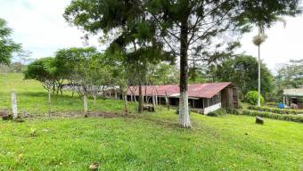 IDEAL PARA PROYECTO TURISTICO LOTE EN VENTA, PURISCAL BARBACOAS IDEAL PARA PROYECTO TURISTICO LOTE EN VENTA, PURISCAL BARBACOAS