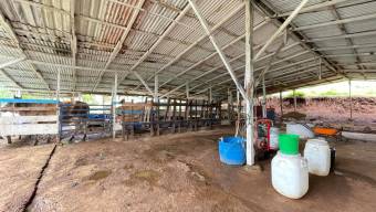 IDEAL PARA PROYECTO TURISTICO LOTE EN VENTA, PURISCAL BARBACOAS IDEAL PARA PROYECTO TURISTICO LOTE EN VENTA, PURISCAL BARBACOAS