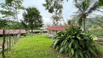 IDEAL PARA PROYECTO TURISTICO LOTE EN VENTA, PURISCAL BARBACOAS IDEAL PARA PROYECTO TURISTICO LOTE EN VENTA, PURISCAL BARBACOAS