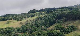 MLS-26-682 LS VENTA FINCA BARVA HEREDIA CONTACTENOS AL # 86127562