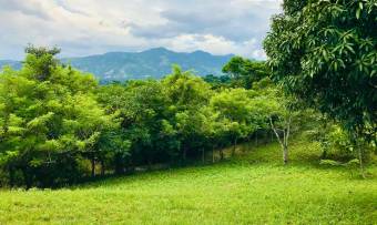 Lote de terreno en venta, El Rodeo - Colón, MLS#26-1024