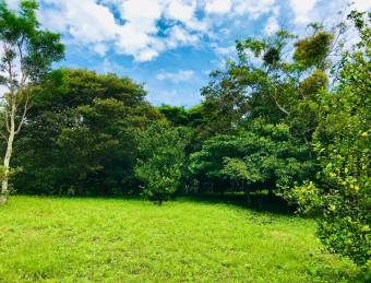 Lote de terreno en venta, El Rodeo - Colón, MLS#26-1024