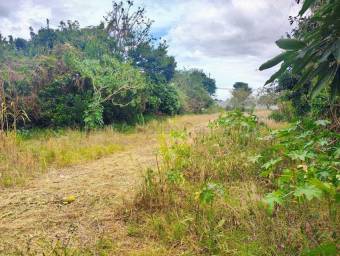 Venta de Lote en Desamparados-Alajuela. 
