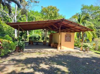 "¡Inversión de Ensueño! Bella Finca en Venta en Turrubares de San Pedro a Precio Irresistible"  26-6