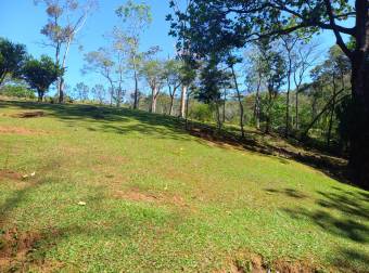 "¡Inversión de Ensueño! Bella Finca en Venta en Turrubares de San Pedro a Precio Irresistible"  26-6