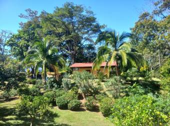 "¡Inversión de Ensueño! Bella Finca en Venta en Turrubares de San Pedro a Precio Irresistible"  26-6