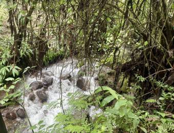 se vende lote en Varablanca #26-384