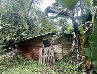 se vende lote en Varablanca #26-384