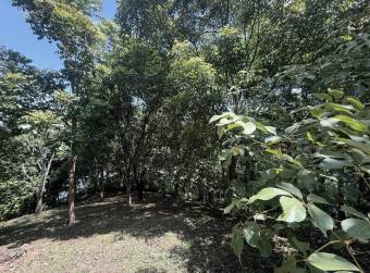Land for sale in San Pedro de Turrubares #26-329