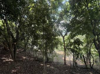 Land for sale in San Pedro de Turrubares #26-329