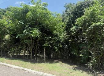 Se vende lote en San Pedro #26-329