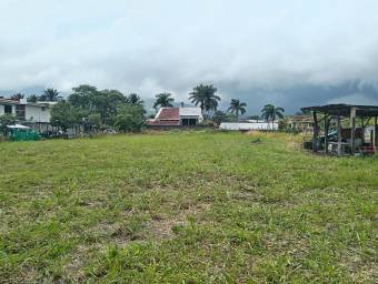 Se vende lote en Pozos Santa Ana 26-645