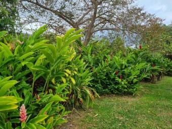 Se vende lote en Zapote San José 26-599 Se vende lote en Zapote San José 26-599