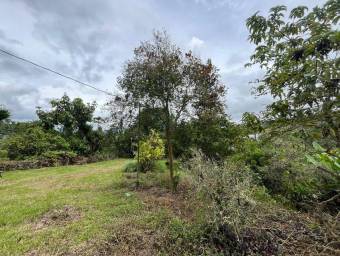 VENTA DE QUINTA EN CERVATES ALVARADO CARTAGO VENTA DE QUINTA EN CERVATES ALVARADO CARTAGO