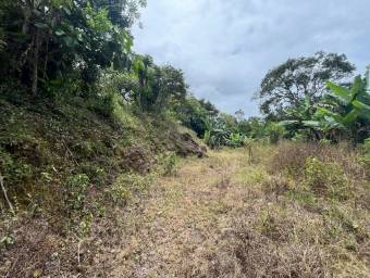 VENTA DE QUINTA EN CERVATES ALVARADO CARTAGO VENTA DE QUINTA EN CERVATES ALVARADO CARTAGO