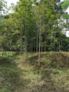 VENTA DE TERRENO EN PEREZ ZELEDON VENTA DE TERRENO EN PEREZ ZELEDON