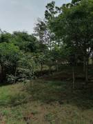 VENTA DE TERRENO EN PEREZ ZELEDON VENTA DE TERRENO EN PEREZ ZELEDON