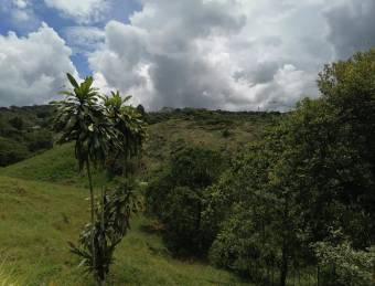 VENTA DE TERRENO EN PEREZ ZELEDON