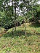 VENTA DE TERRENO EN PEREZ ZELEDON VENTA DE TERRENO EN PEREZ ZELEDON