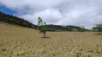 Venta terreno 26.9 ha ideal inversión agro o turística alta proyección #26-1770 GS Venta terreno 26.9 ha ideal inversión agro o turística alta proyección #26-1770 GS