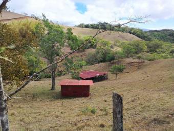 Venta terreno 26.9 ha ideal inversión agro o turística alta proyección #26-1770 GS Venta terreno 26.9 ha ideal inversión agro o turística alta proyección #26-1770 GS