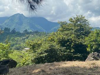 VENDO LOTE USO DE SUELO COMERCIAL EN ALAJUELITA CERCA DE LA ENTRADA A ESCAZÚ