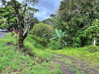 Venta de Lote en San Isidro de Peñas Blancas de San Ramón. RAH 26-1801
