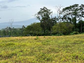 Venta de Lote en San Isidro de Peñas Blancas de San Ramón. RAH 26-1801