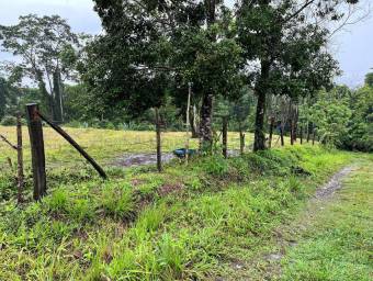 Venta de Lote en San Isidro de Peñas Blancas de San Ramón. RAH 26-1801