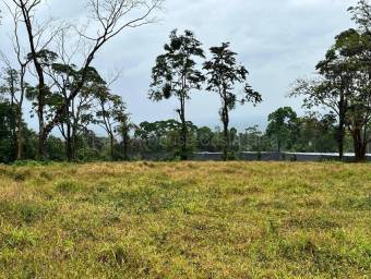 Venta de Lote en San Isidro de Peñas Blancas de San Ramón. RAH 26-1801