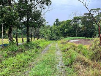Venta de Lote en San Isidro de Peñas Blancas de San Ramón. RAH 26-1801