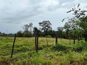 Venta de Lote en San Isidro de Peñas Blancas de San Ramón. RAH 26-1801