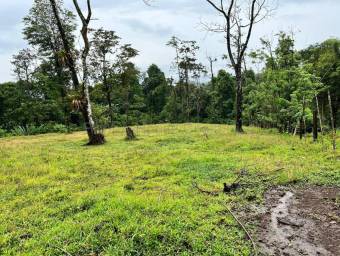 Venta de Lote en San Isidro de Peñas Blancas de San Ramón. RAH 26-1801