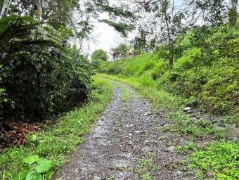 Venta de Lote en San Isidro de Peñas Blancas de San Ramón. RAH 26-1801