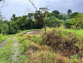 Venta de Lote en San Isidro de Peñas Blancas de San Ramón. RAH 26-1801
