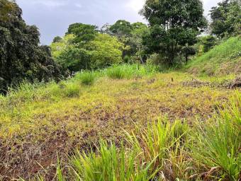 Venta de Lote en San Isidro de Peñas Blancas de San Ramón. RAH 26-1801