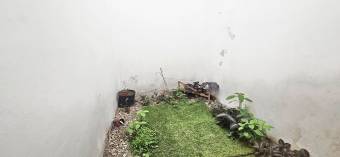 Venta de Casa en Coronado, San José.