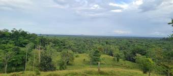 Venta finca ganadera 68ha con potencial turístico y forestal #24-711 GS Venta finca ganadera 68ha con potencial turístico y forestal #24-711 GS