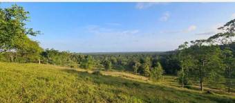 Venta finca ganadera 68ha con potencial turístico y forestal #24-711 GS Venta finca ganadera 68ha con potencial turístico y forestal #24-711 GS