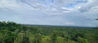 Venta finca ganadera 68ha con potencial turístico y forestal #24-711 GS Venta finca ganadera 68ha con potencial turístico y forestal #24-711 GS