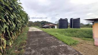 Descubre una oportunidad única de inversión. Venta Lote