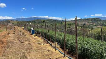 Venta lote alta densidad ideal condominio con vista y acceso propio #24-121 GS