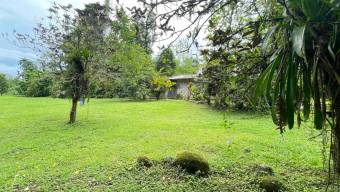 Venta de Lote de 3,149 mt2 en Guápiles 26-779