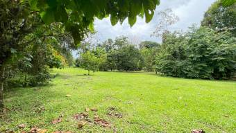 Venta de Lote de 3,149 mt2 en Guápiles 26-779