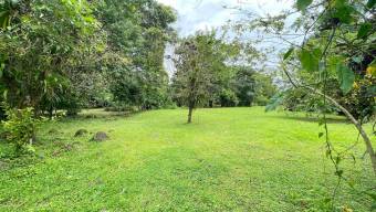 Venta de Lote de 3,149 mt2 en Guápiles 26-779