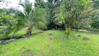 Venta de Lote de 3,149 mt2 en Guápiles 26-779