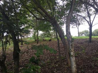 Quinta rodeada de naturaleza y paz ideal para vivir o vacacionar en Alajuela #23-2706 GS