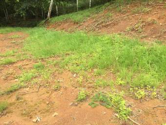 Quinta rodeada de naturaleza y paz ideal para vivir o vacacionar en Alajuela #23-2706 GS