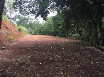 Quinta rodeada de naturaleza y paz ideal para vivir o vacacionar en Alajuela #23-2706 GS